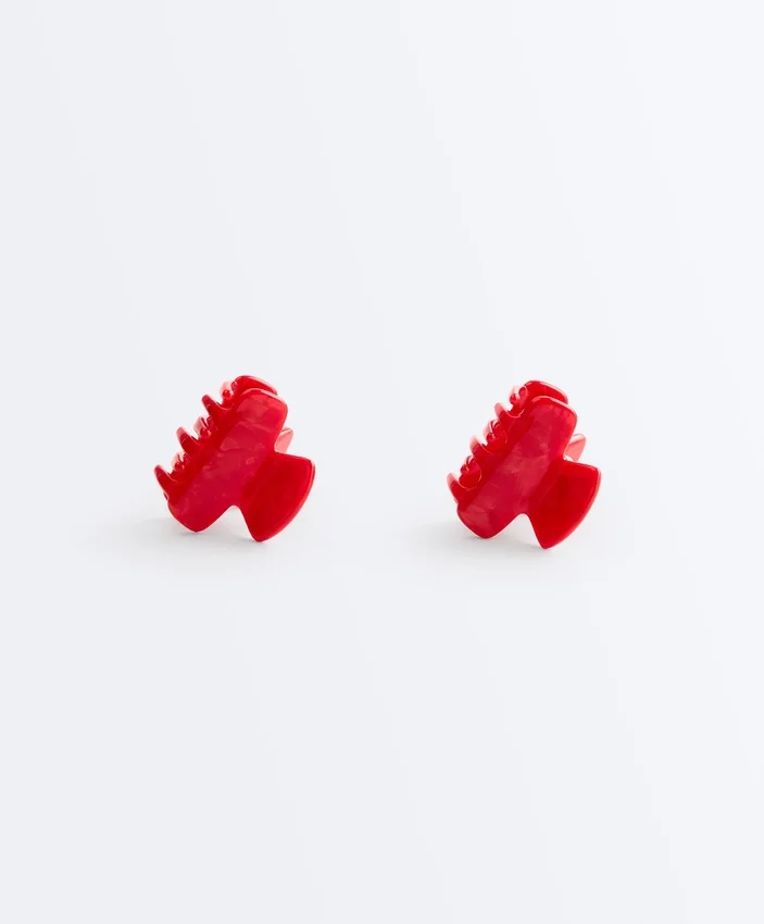 2 miniclases para el pelo 2 miniclases para el pelo